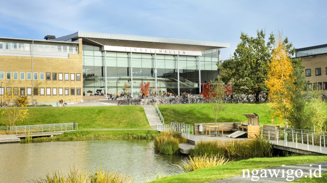 Umeå University: Kampus Inovasi dan Penelitian Unggulan